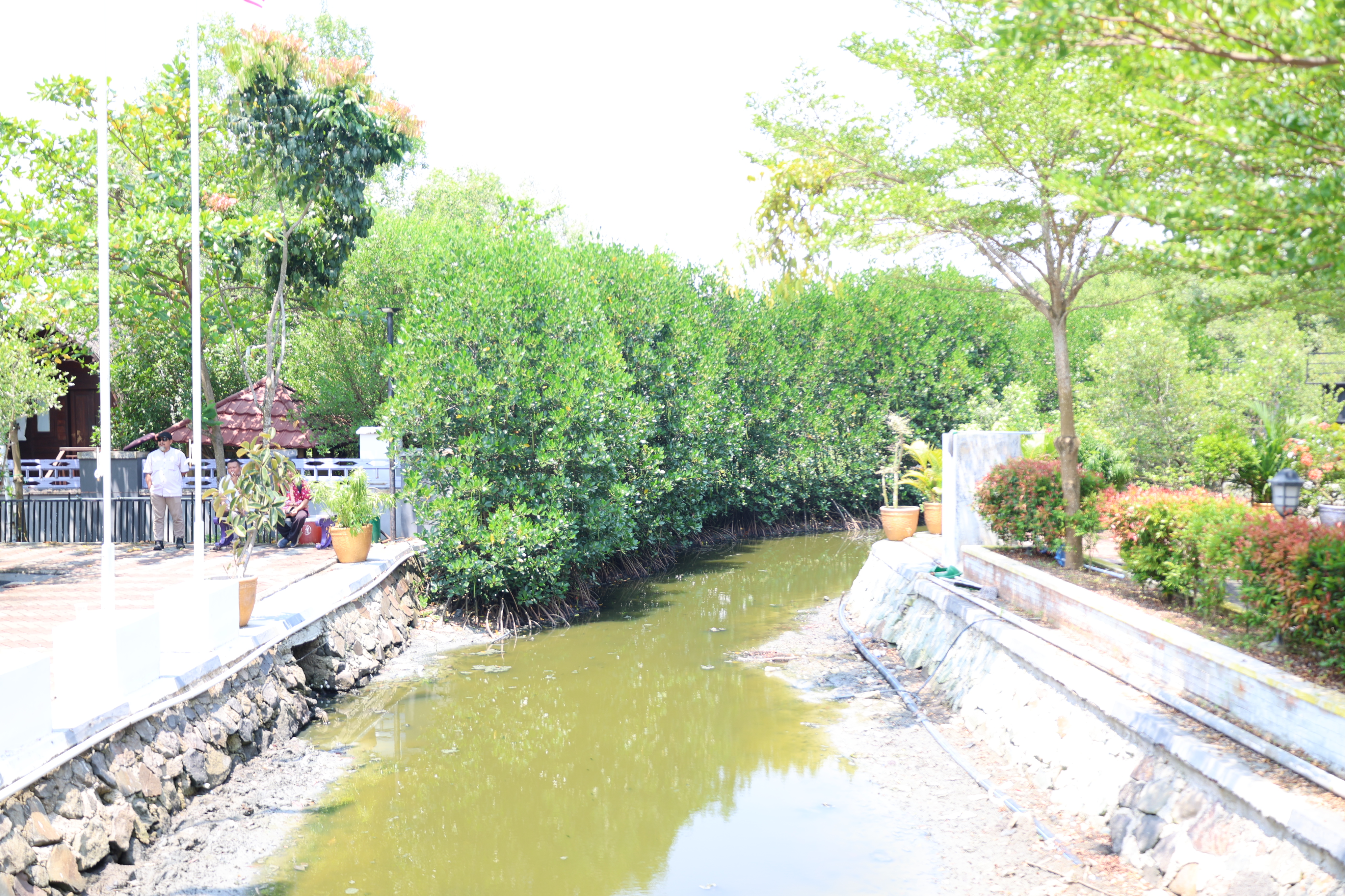 Kunjungan Menko ke Ketapang Urban Aquaculture - Foto
