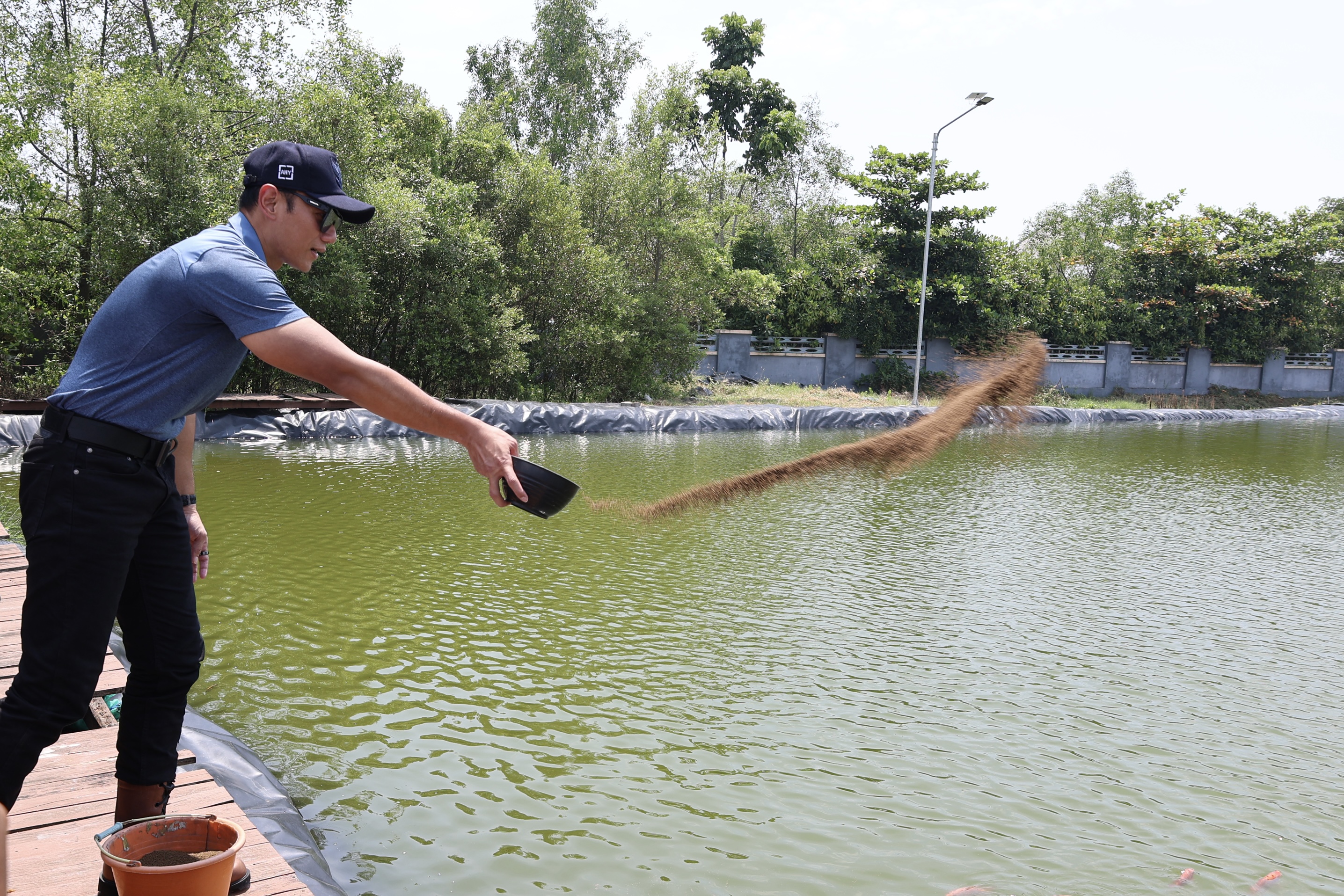 Kunjungan Menko ke Ketapang Urban Aquaculture - Foto